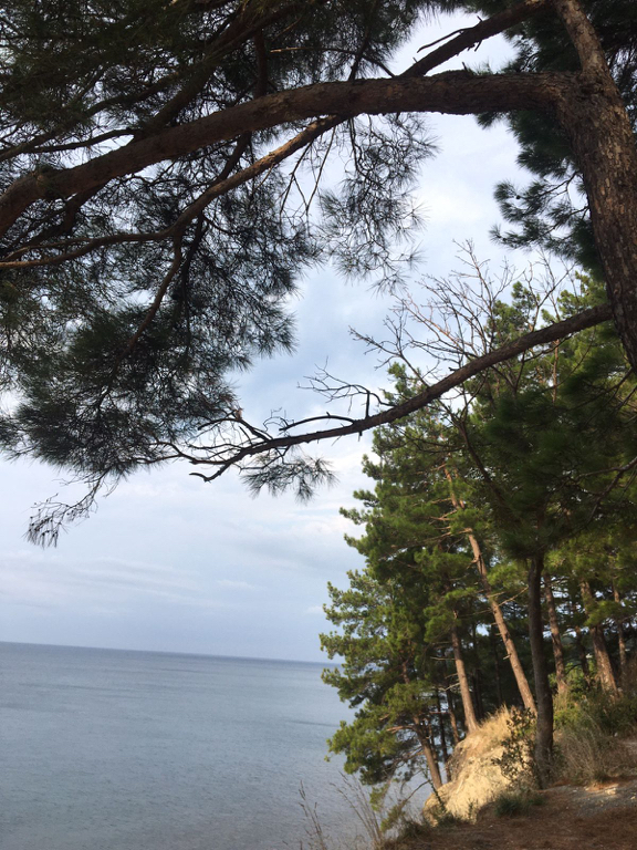 Фото Тихий берег