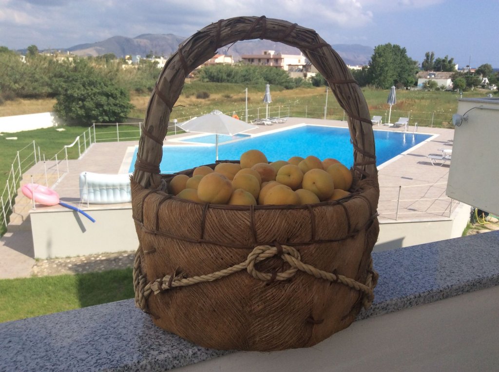 Фото Reina Apartments