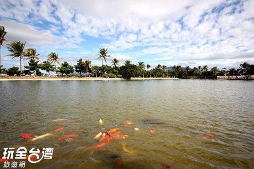 Фото HoTian Farm