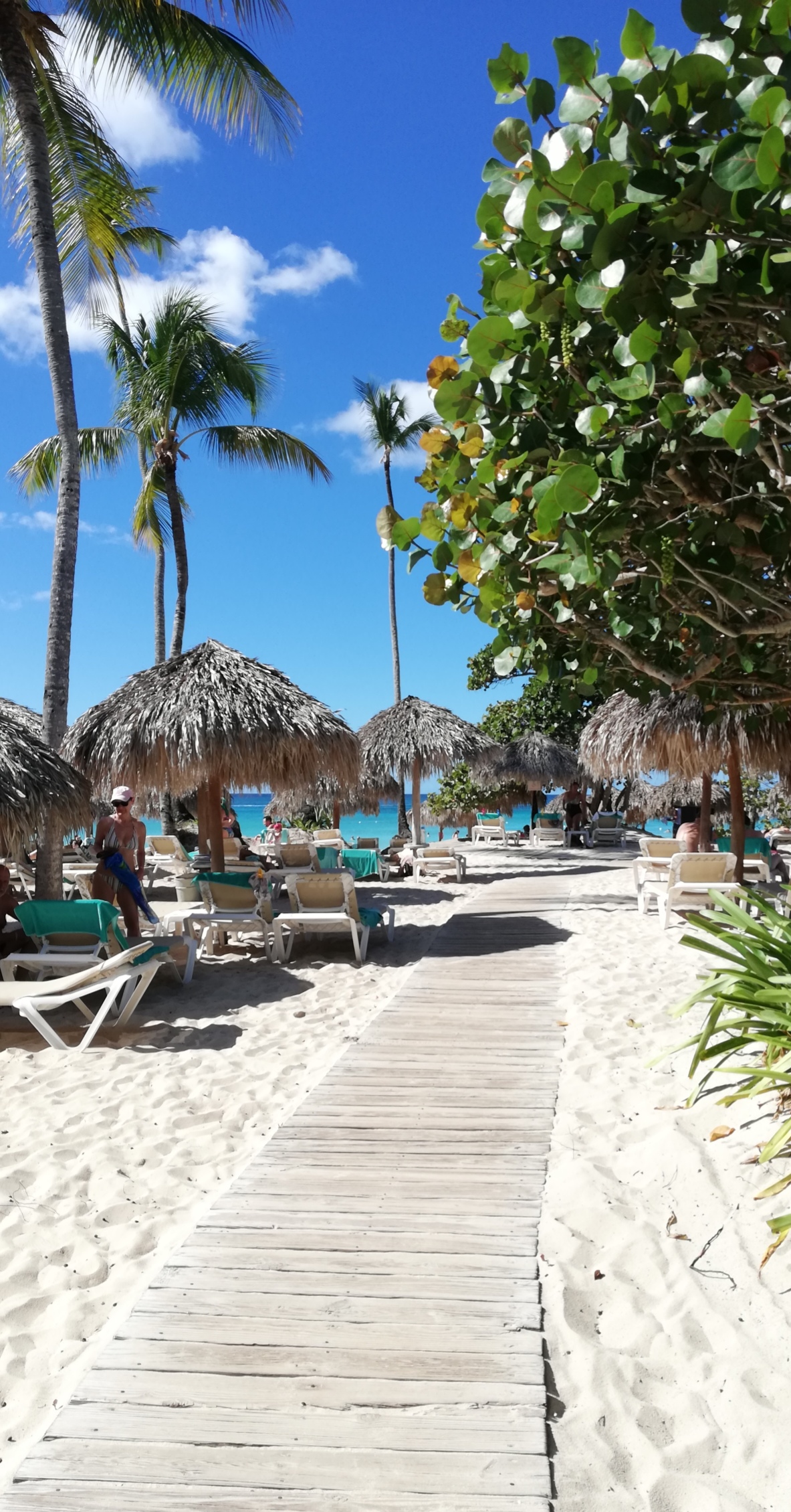 Фото Iberostar Selection Hacienda Dominicus