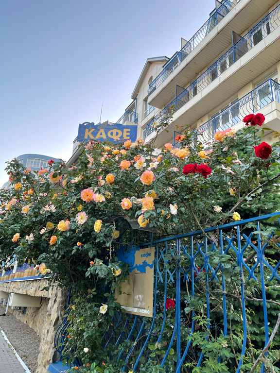 Фото Мирабель