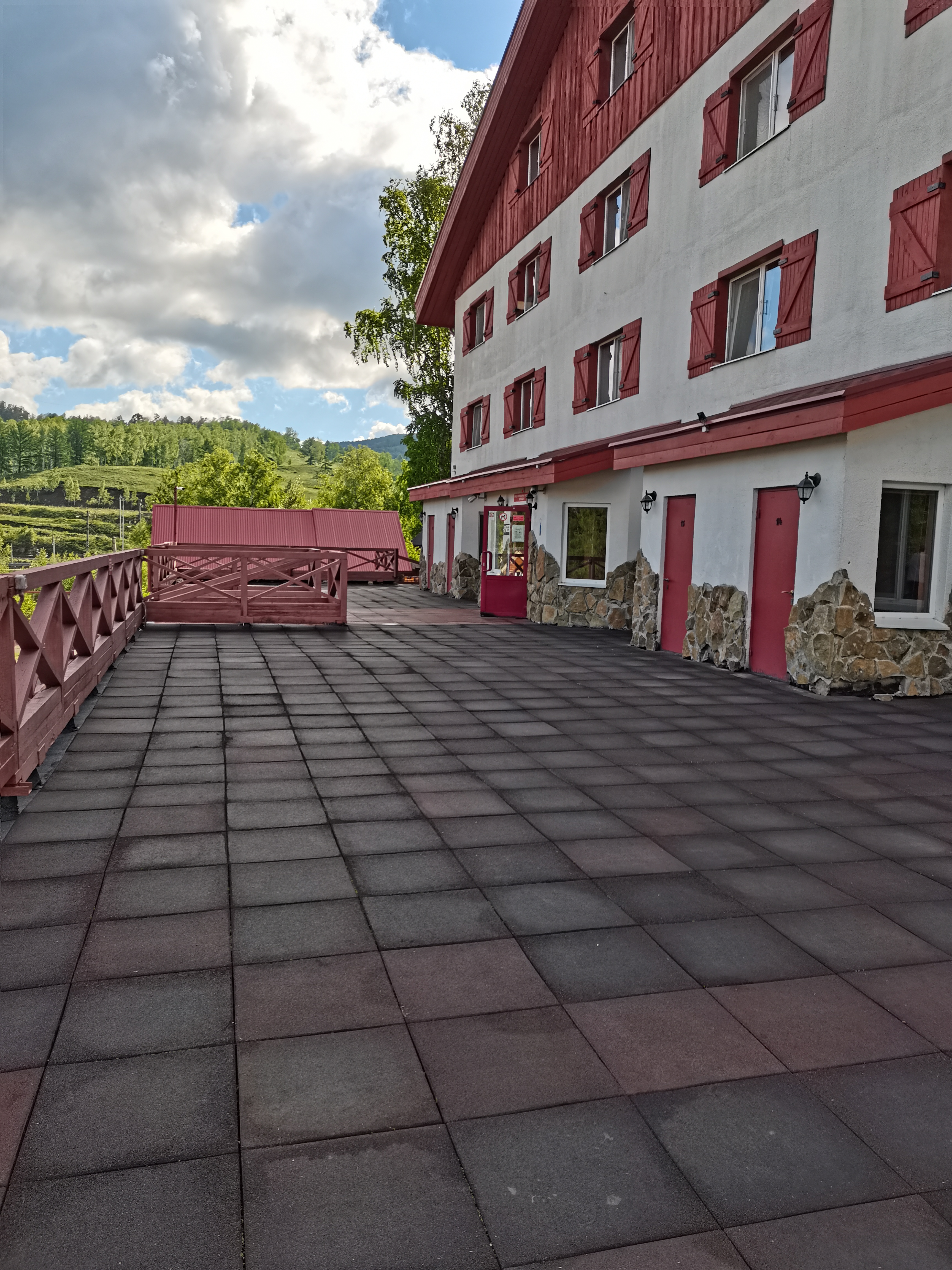 Фото 33 Медведя