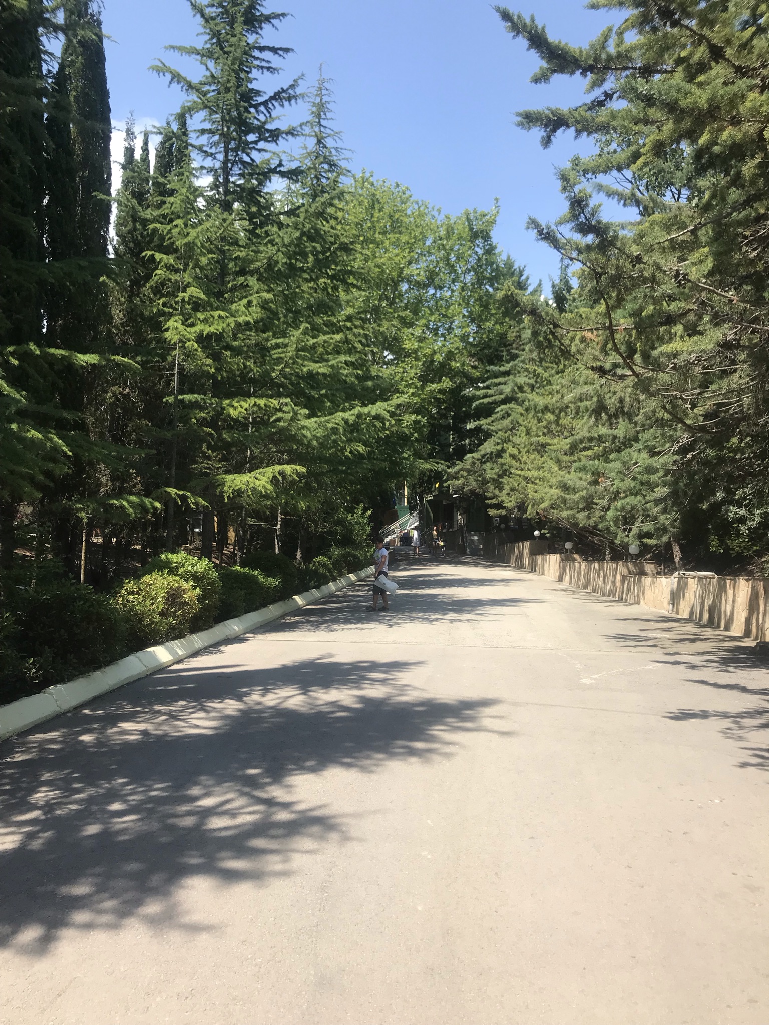 Фото Алые Паруса