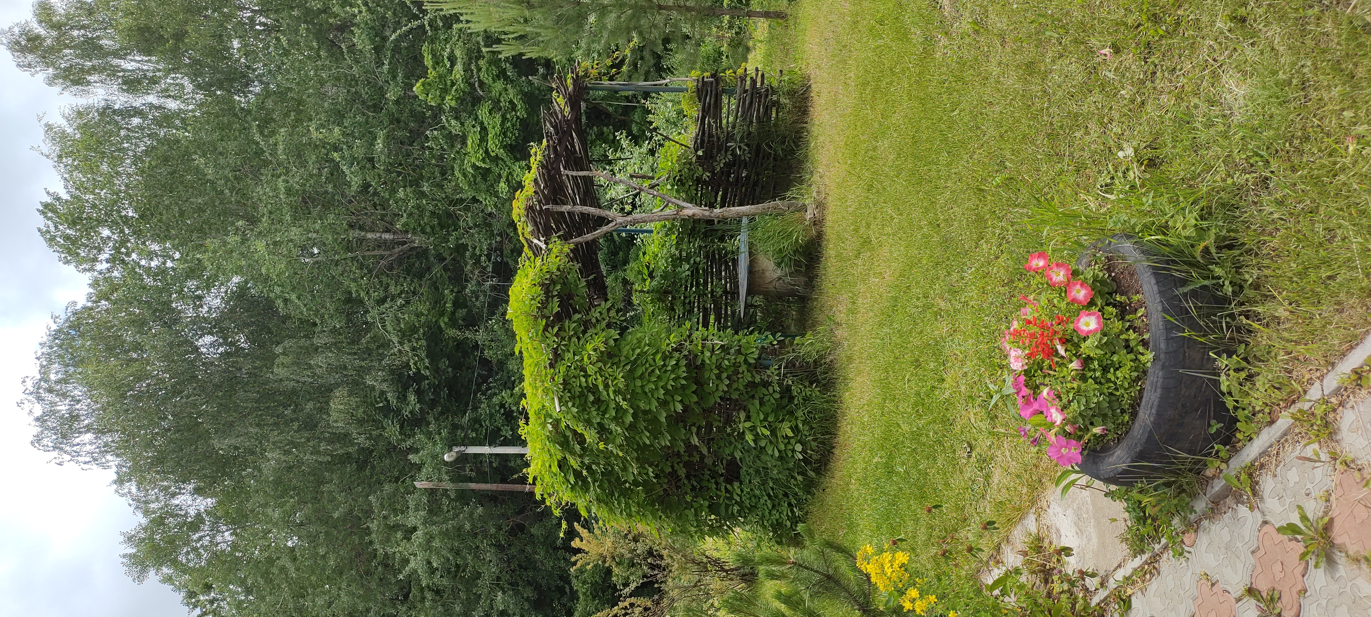 Фото Дубрава