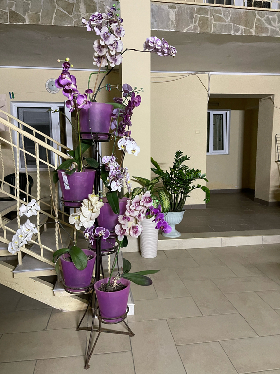 Фото Озенбаш