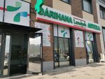 Landysh (Sanjar Asfendıarov kóshesi, 2), pharmacy