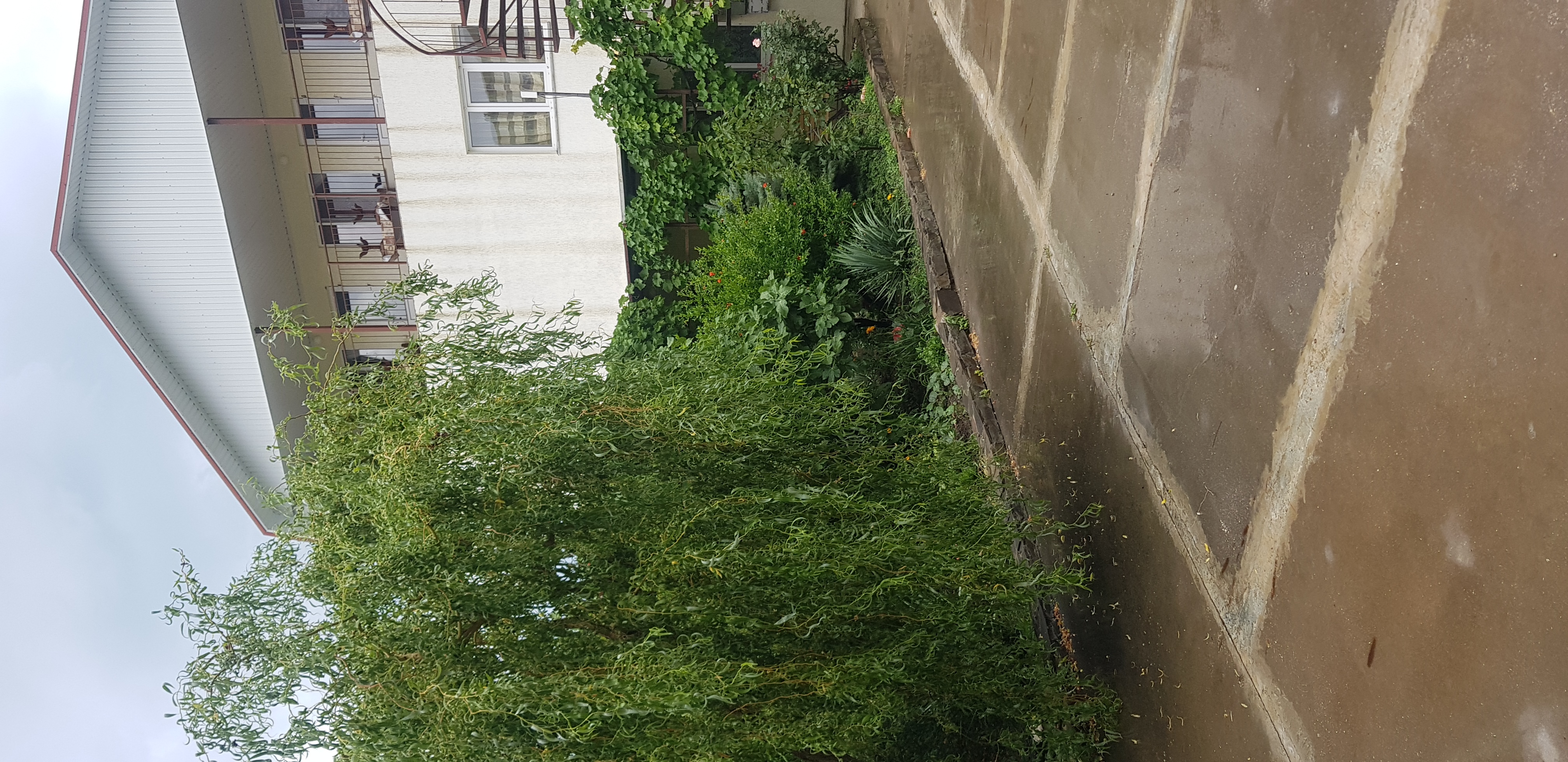 Фото Гостевой дом Роза