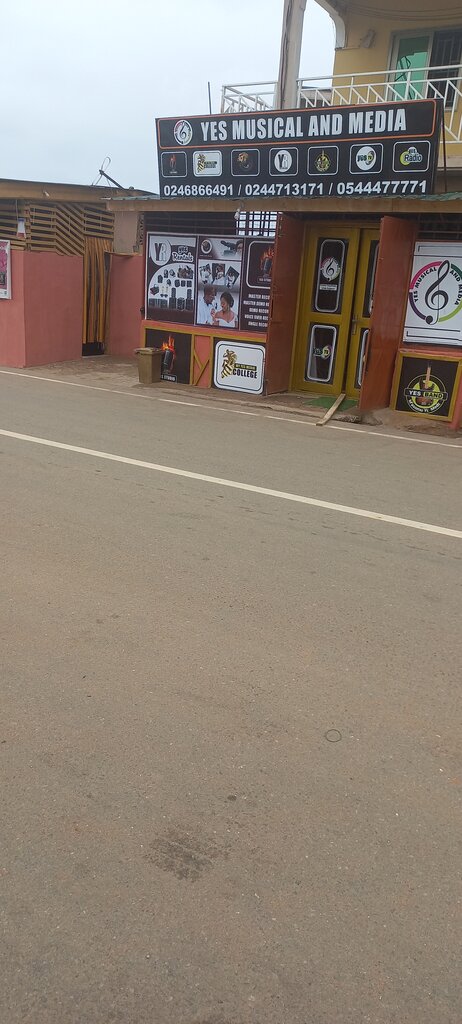 Discs, vynil Yes Musical & Media, Earth, photo