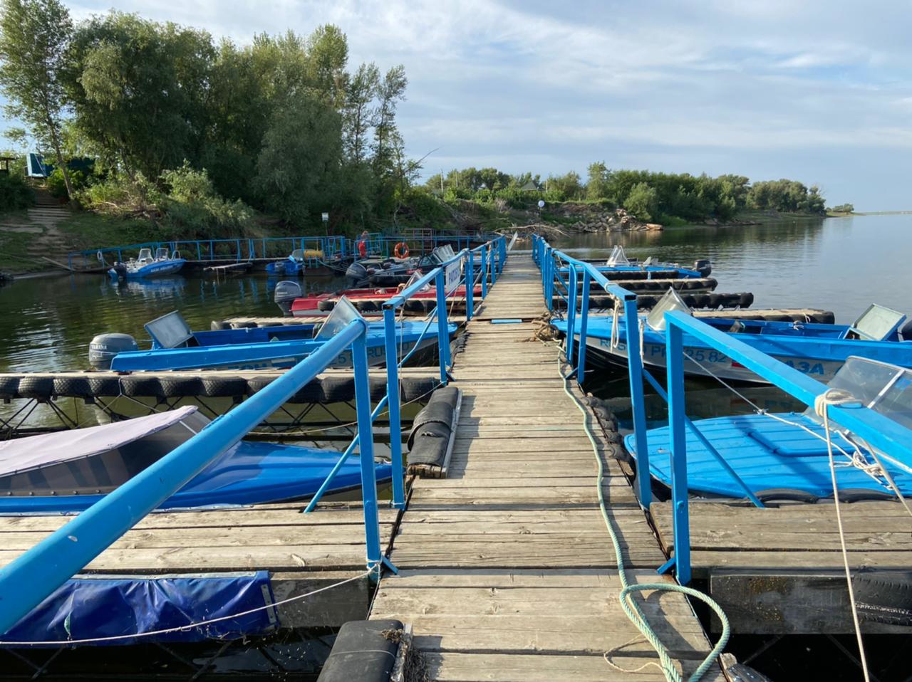 Фото Авалон