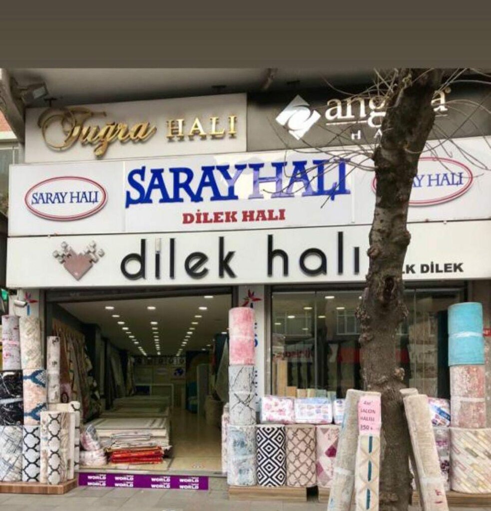 Carpet shop Dilek Hali, Istanbul, photo