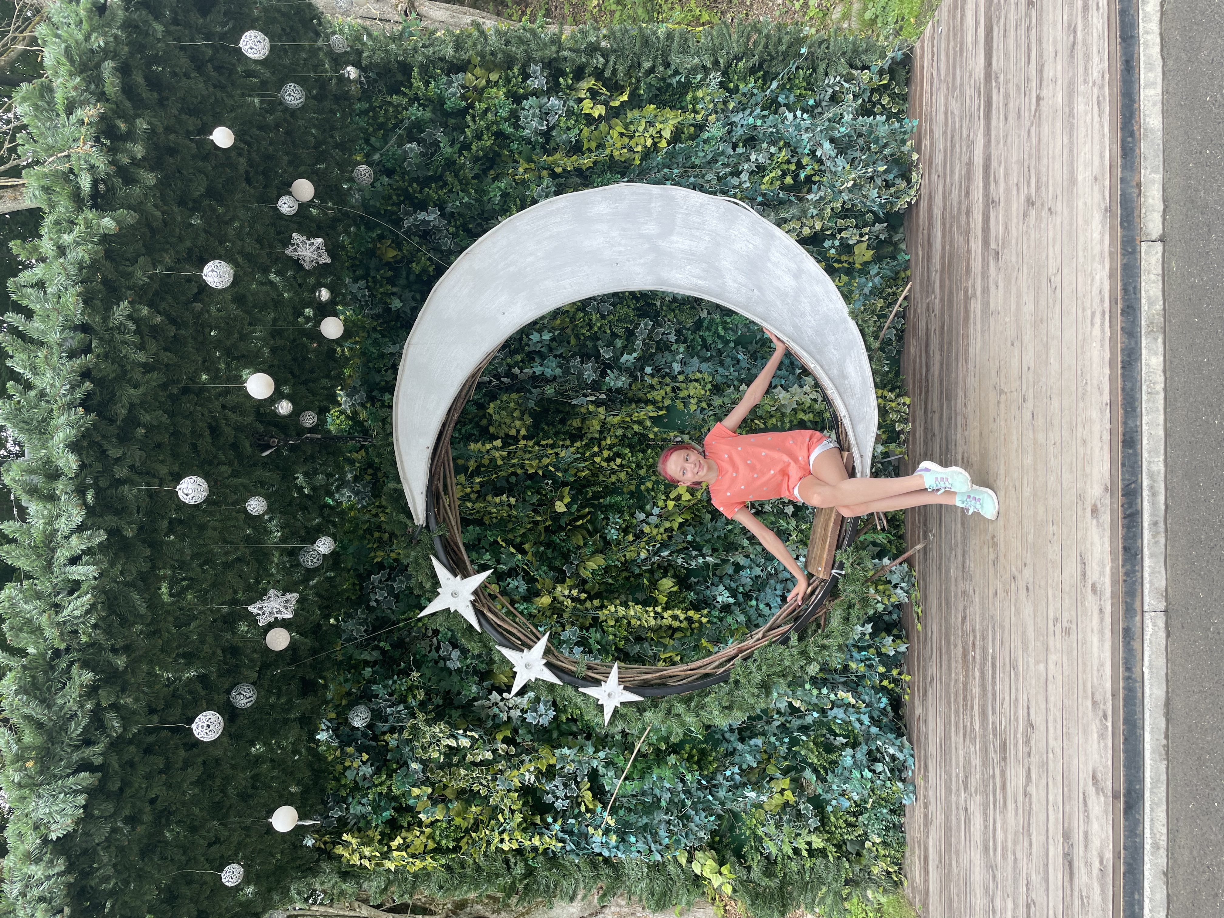 Фото Альпина парк