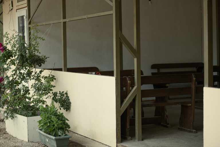 Фото Зелёный остров