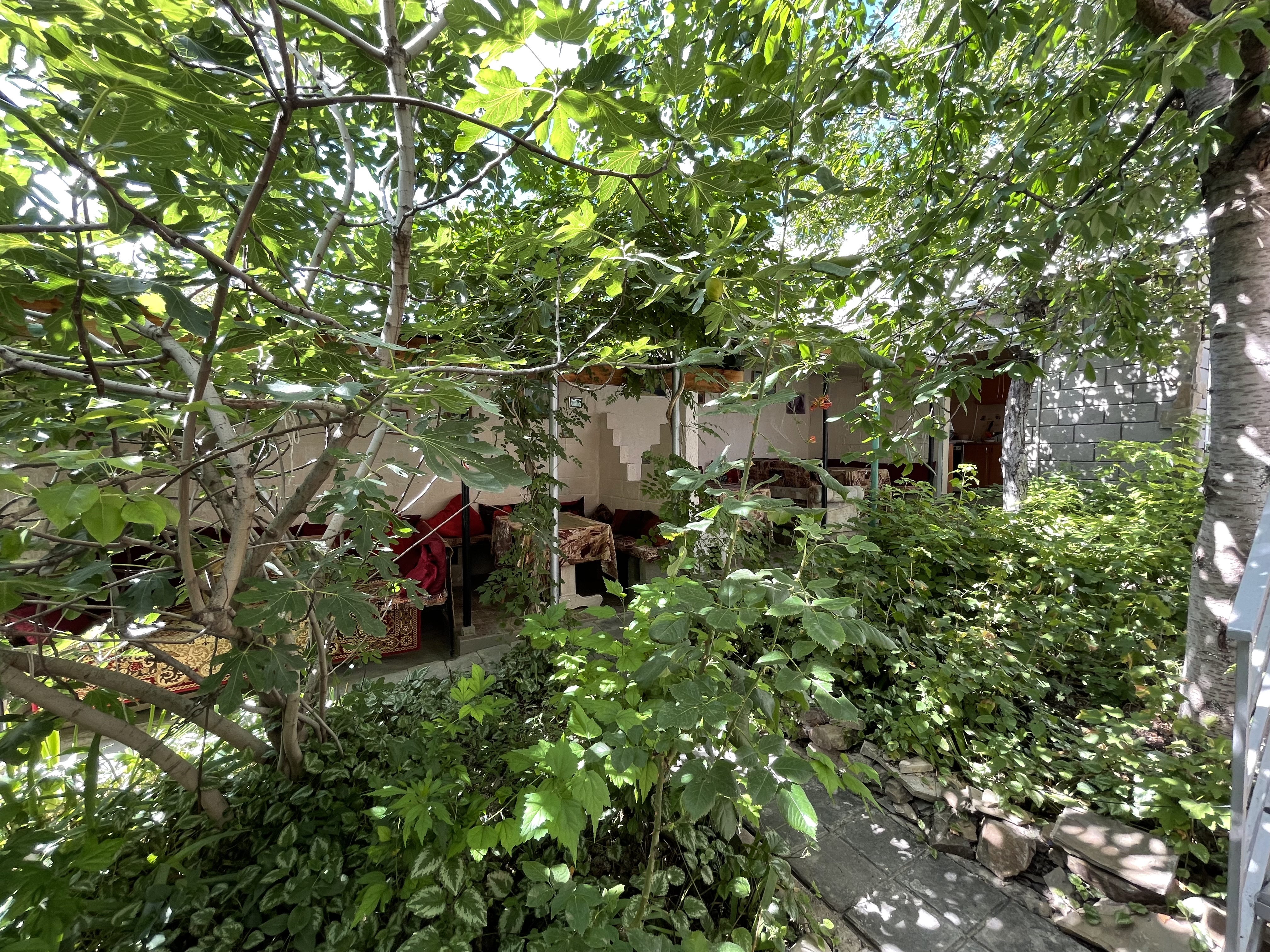 Фото Николь