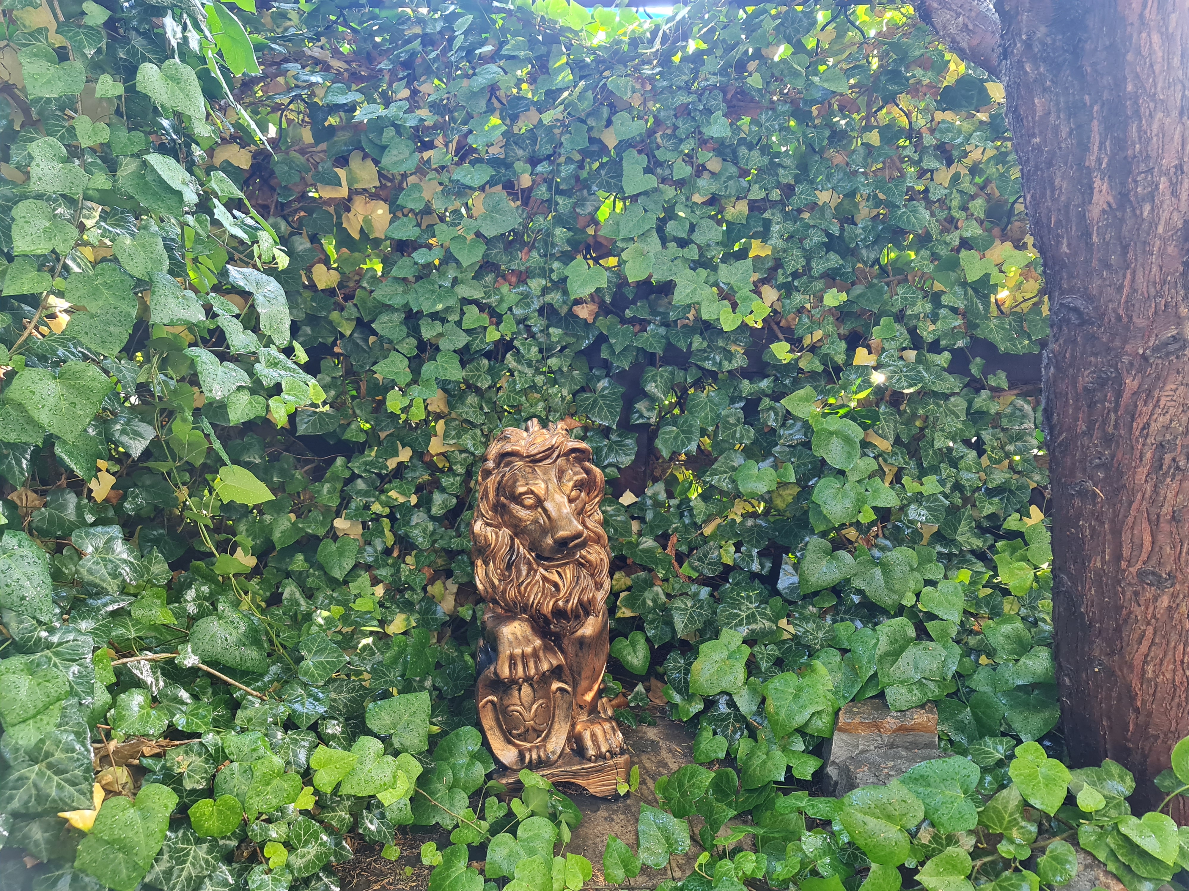 Фото Волшебный дворик