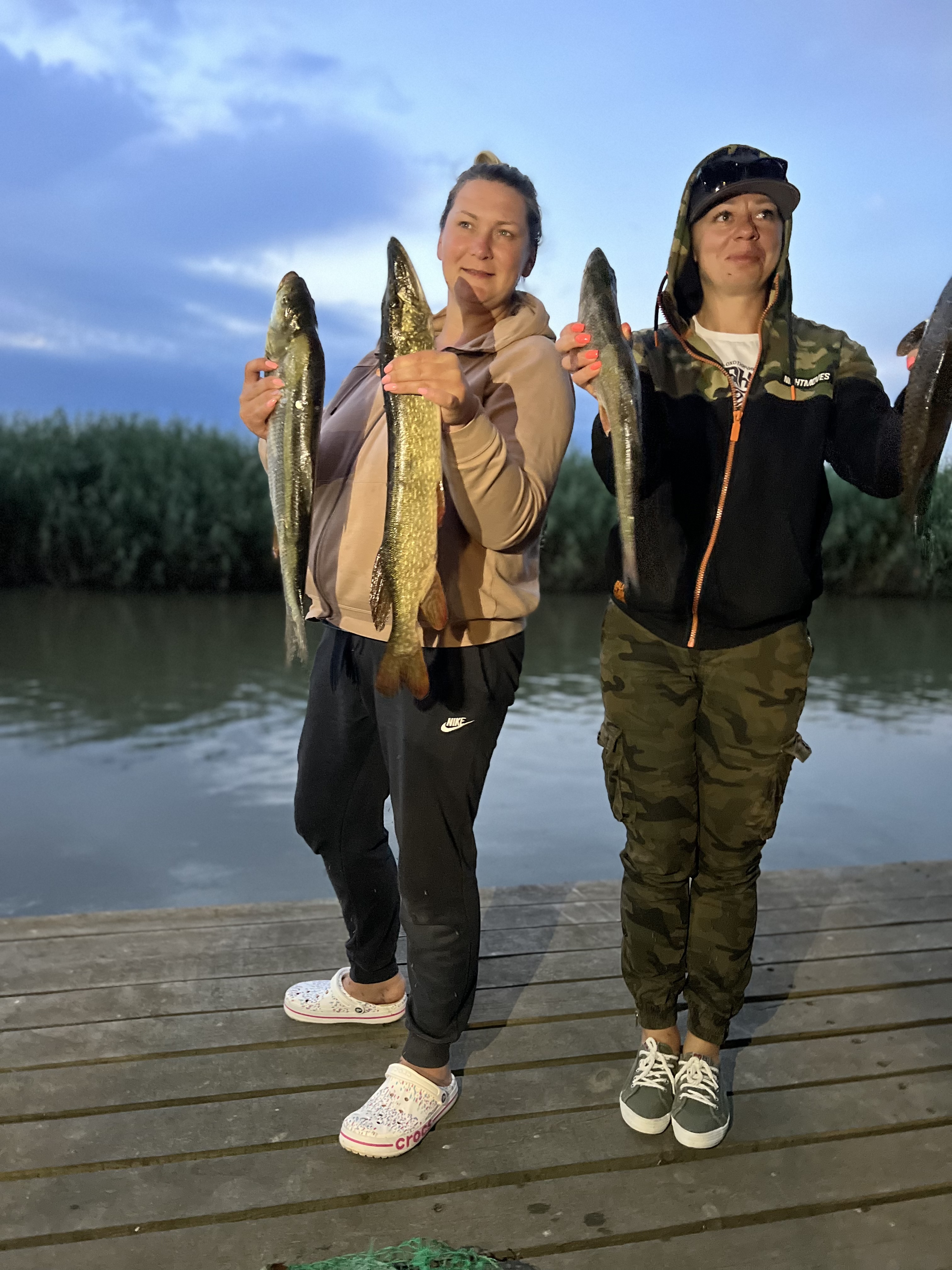 Фото Пиранья Дельта