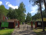 Children's and Youth Health Center Romashka (Moscow Region, Podolsk City District), summer camp