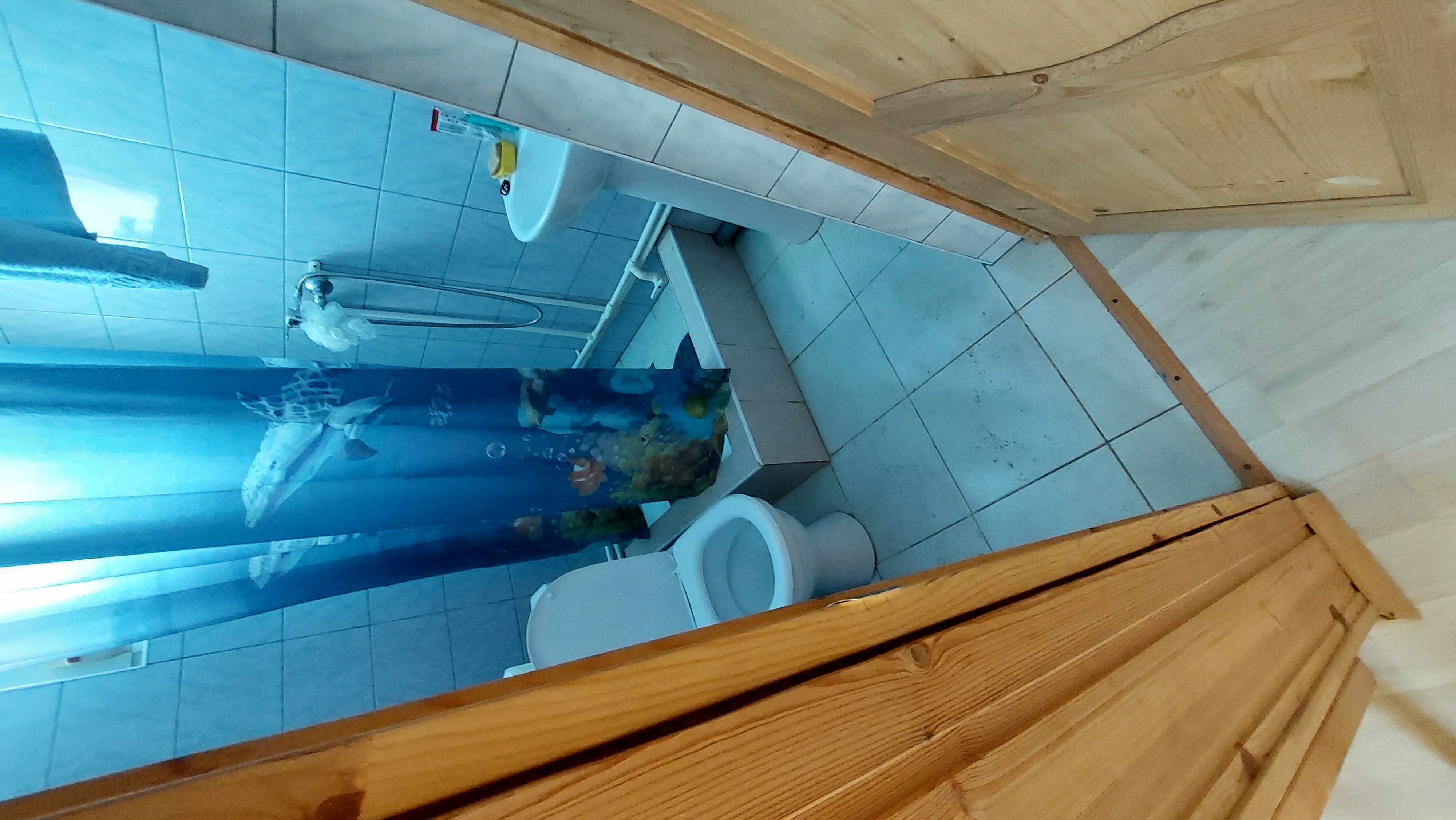 Фото Василиса