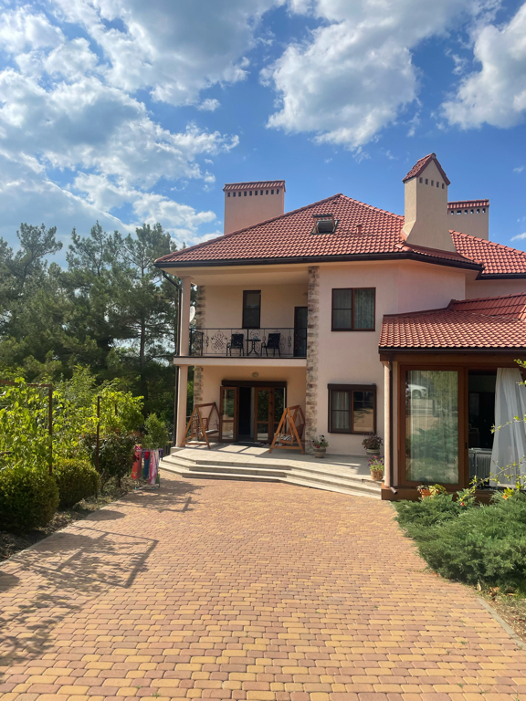 Фото Кедровая роща