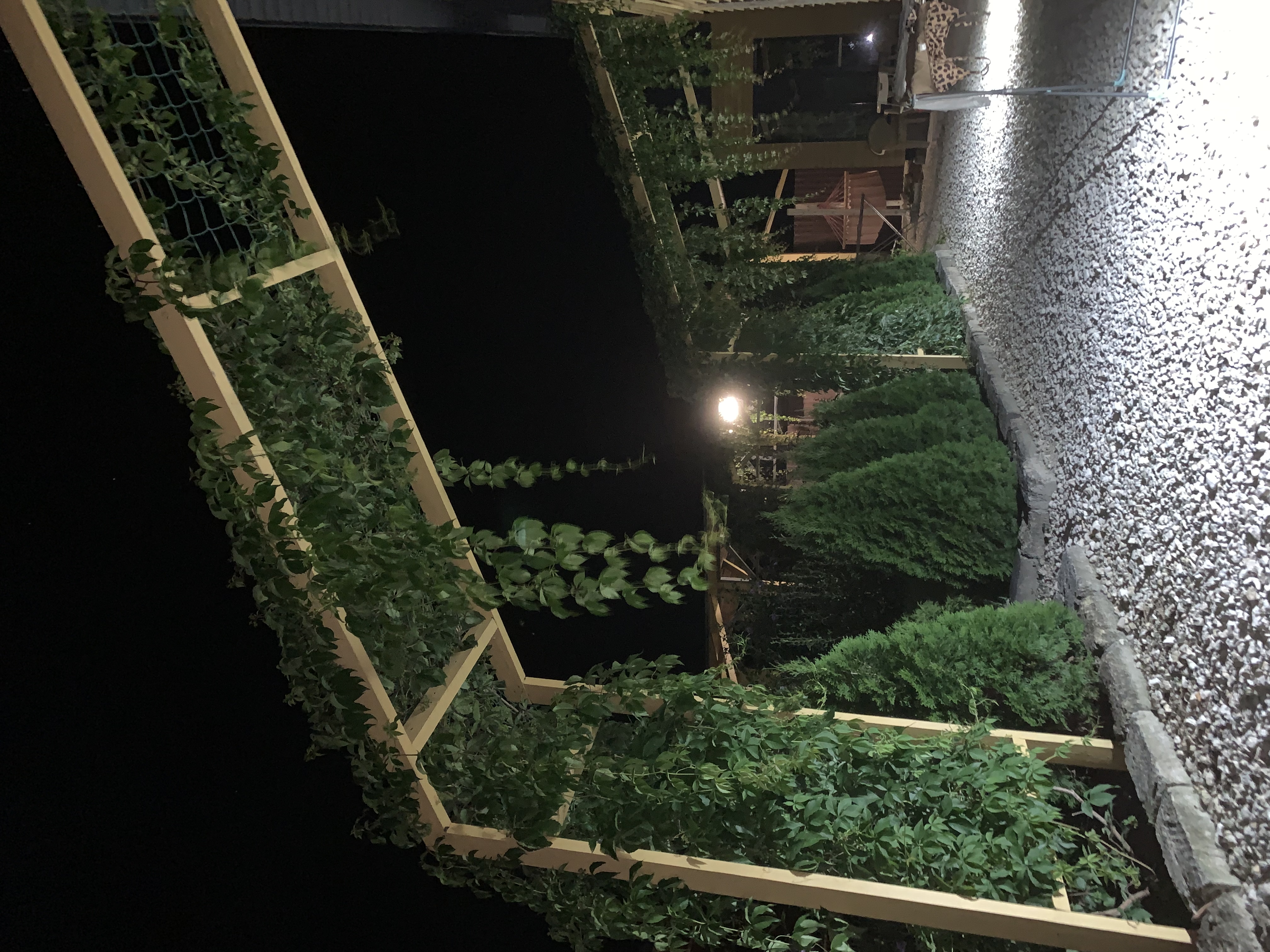 Фото Усадьба Дивноморье