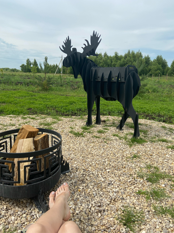 Фото Лес и небо