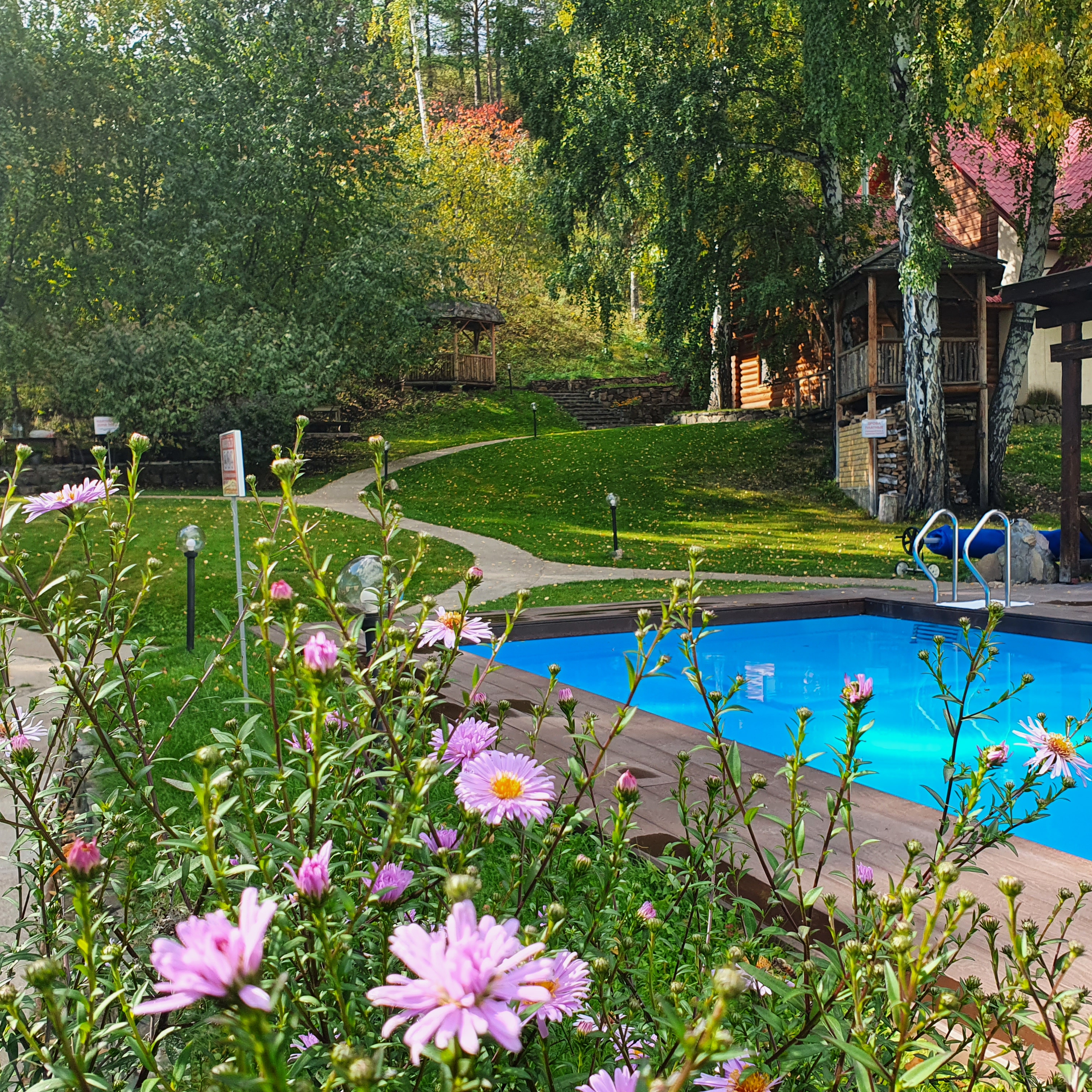 Фото Каменный цветок