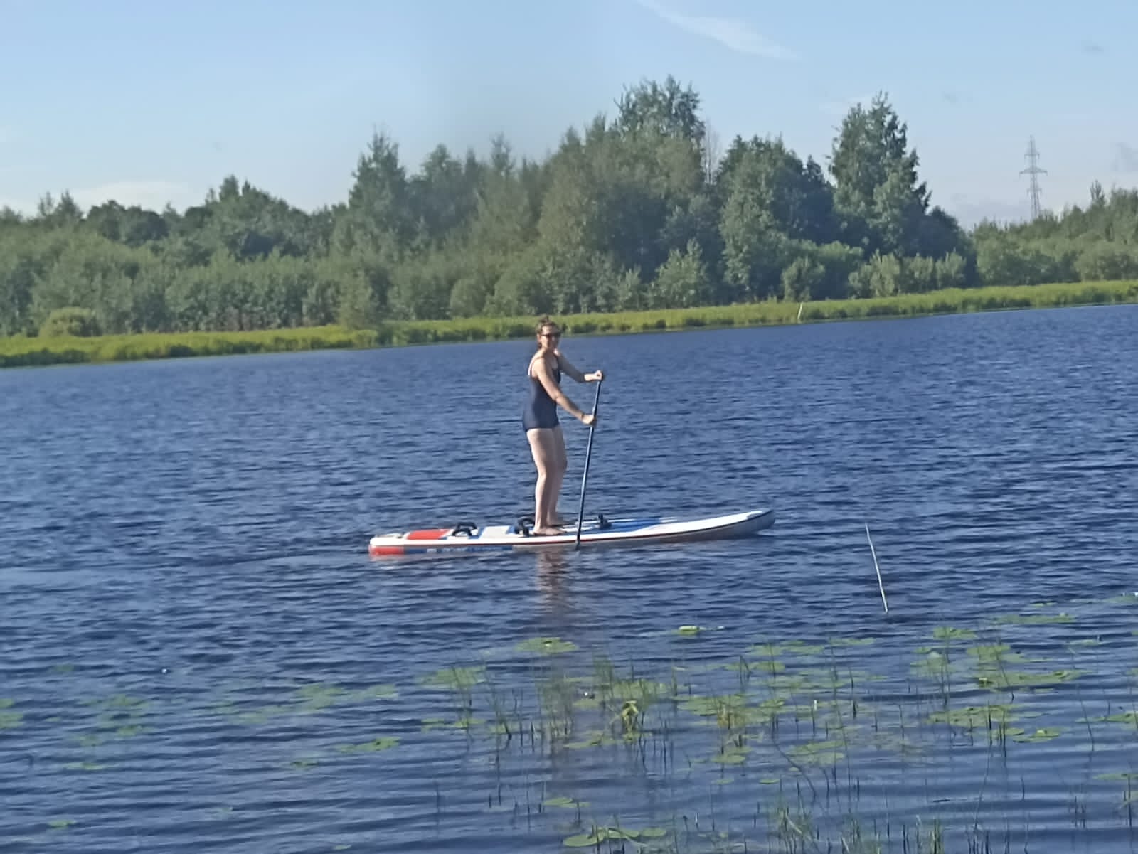 Фото Крокус