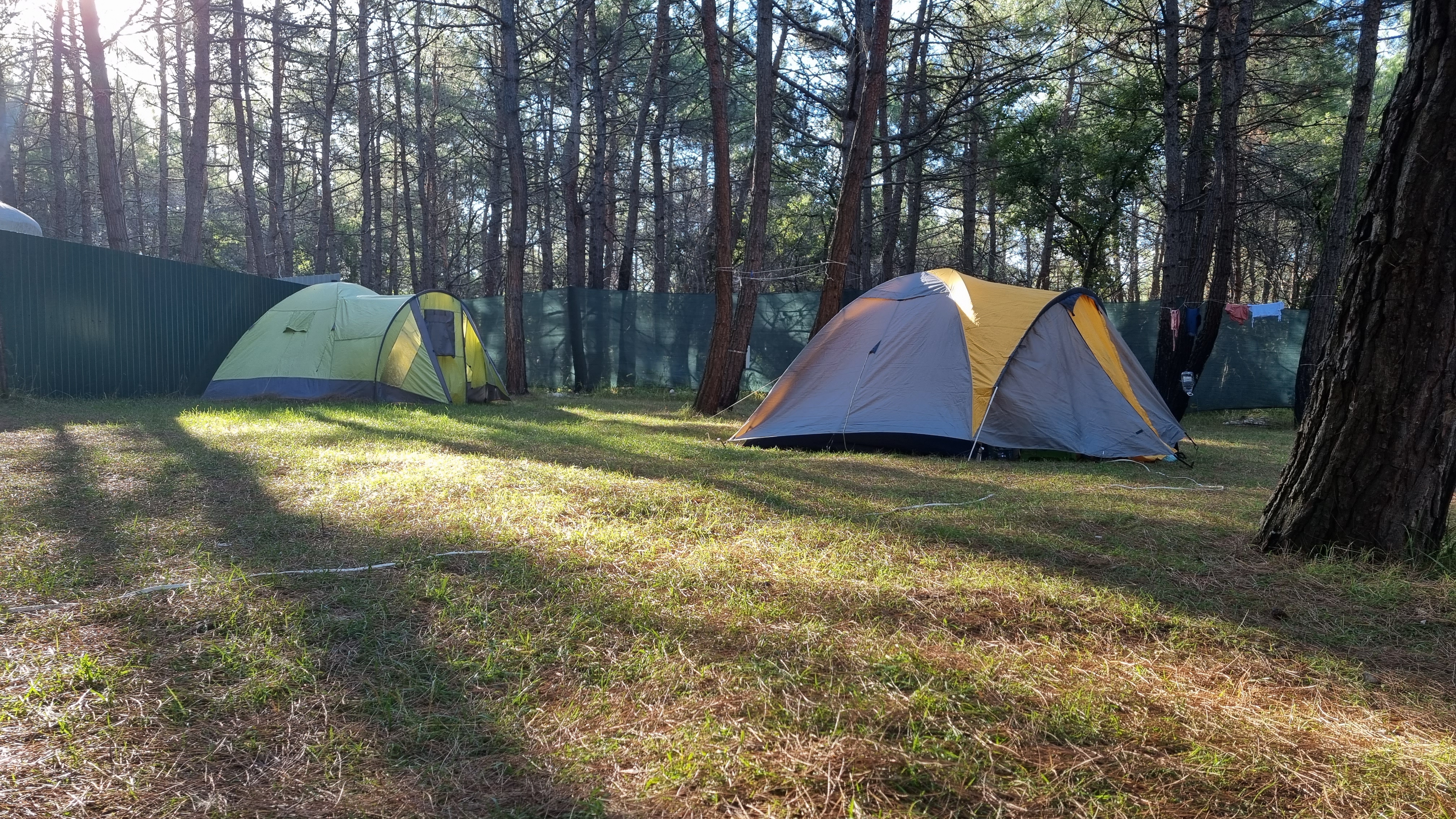 Фото Под соснами