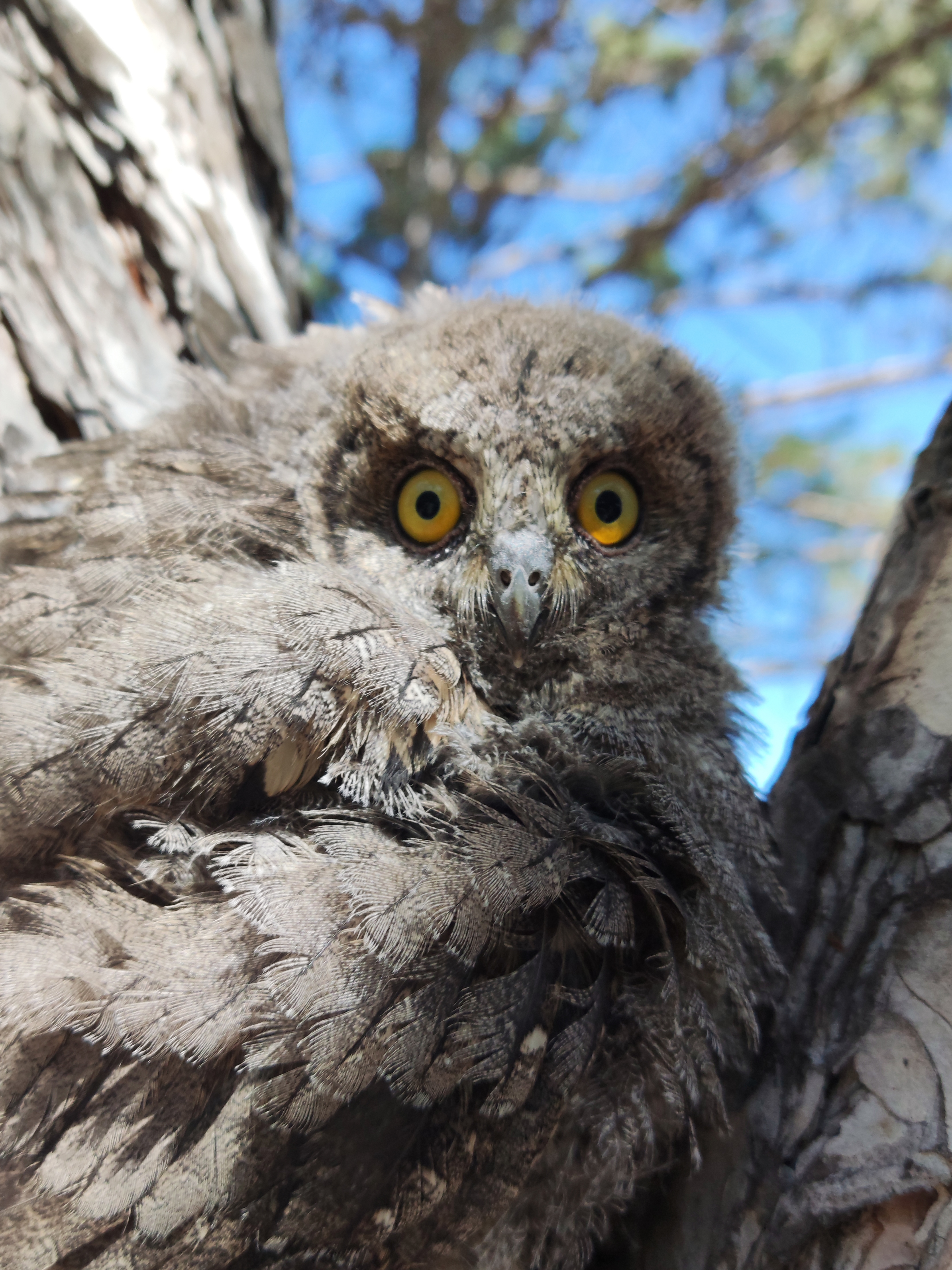 Фото Волна Парк