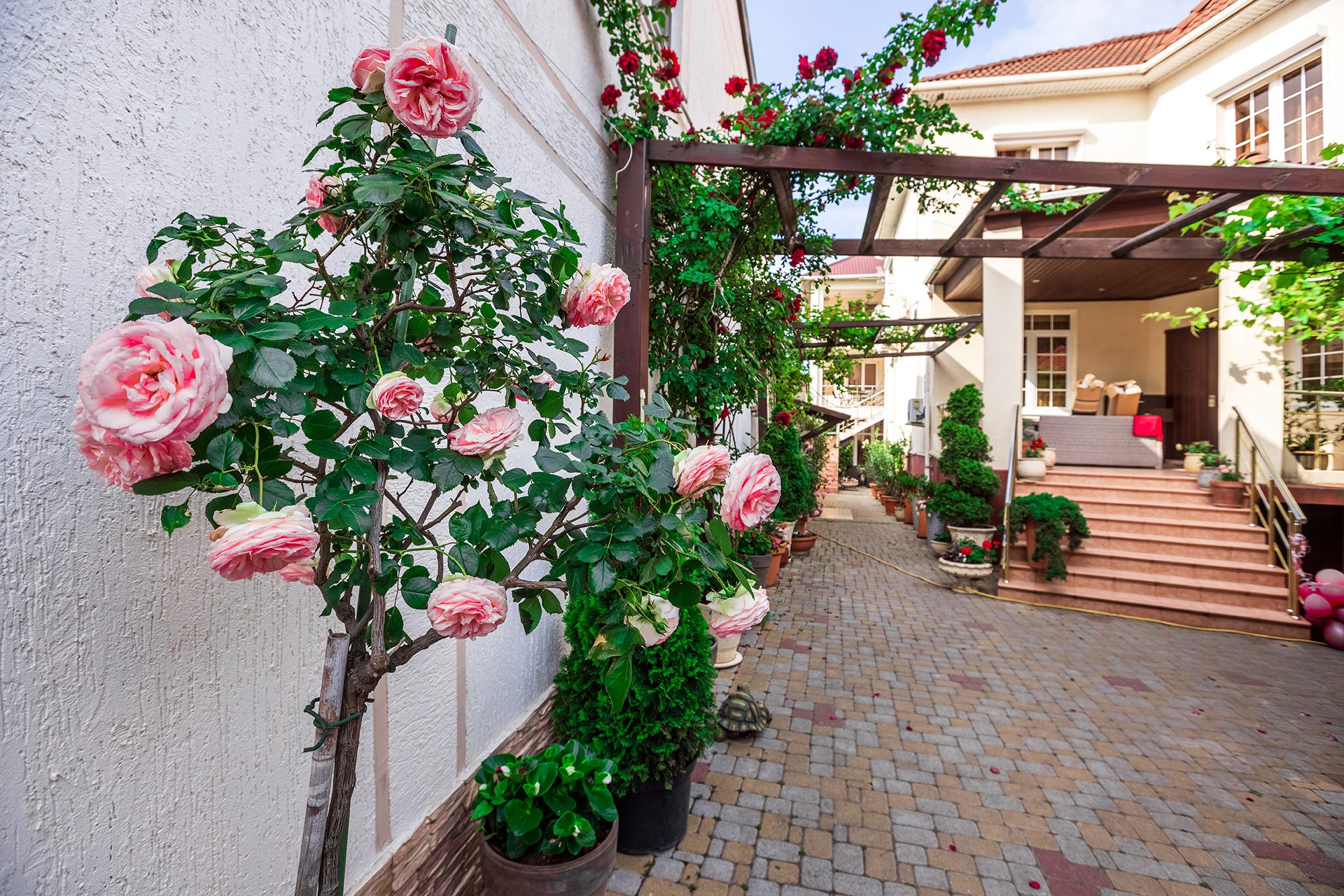 Фото Евгения