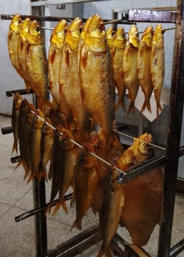 Рыбное хозяйство, рыбоводство Рыбколхоз Дон, Ростовская область, фото