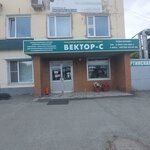 Vektor-Pro (Artinskaya Street, 12БлитА), windows