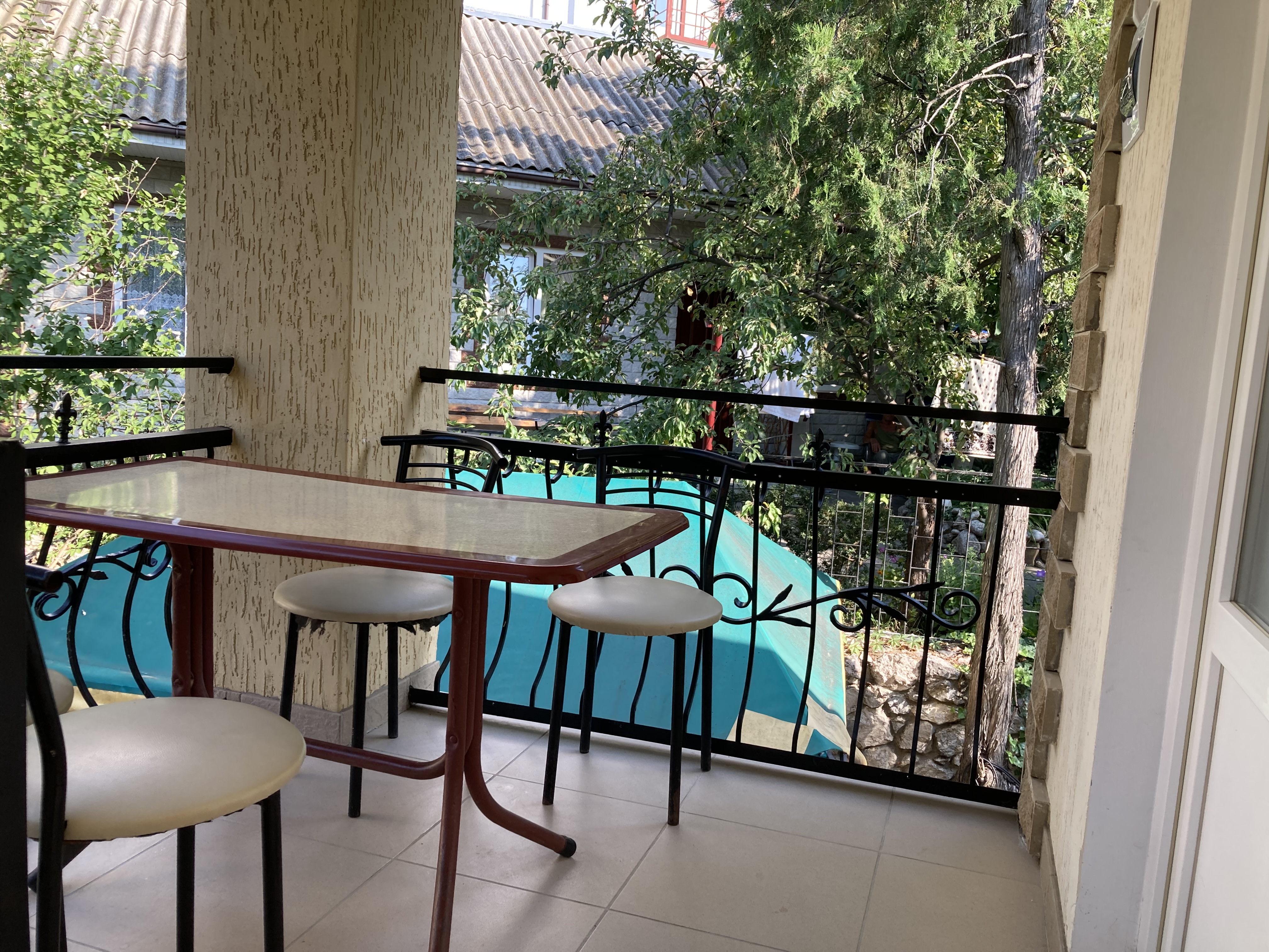 Фото Орхидея