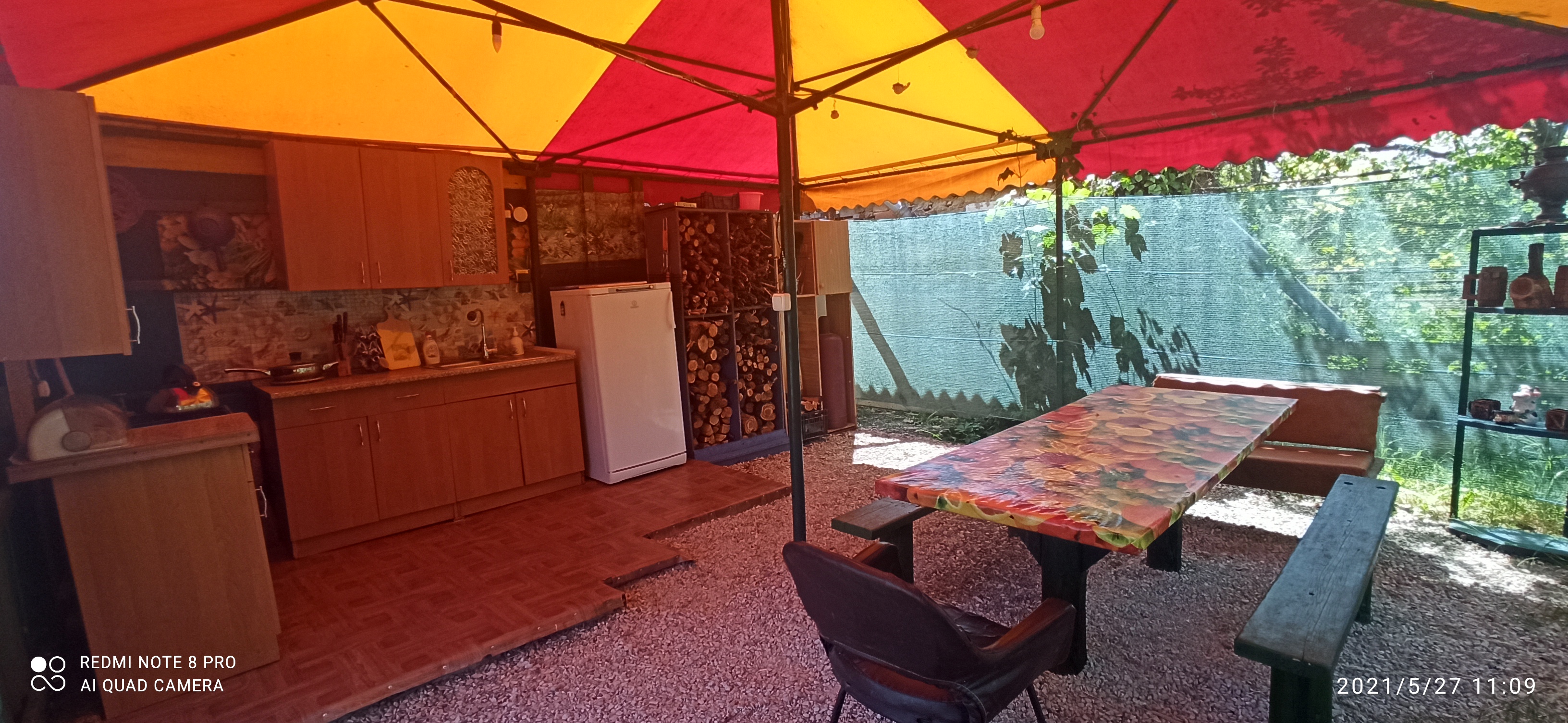 Фото Цветок папоротника