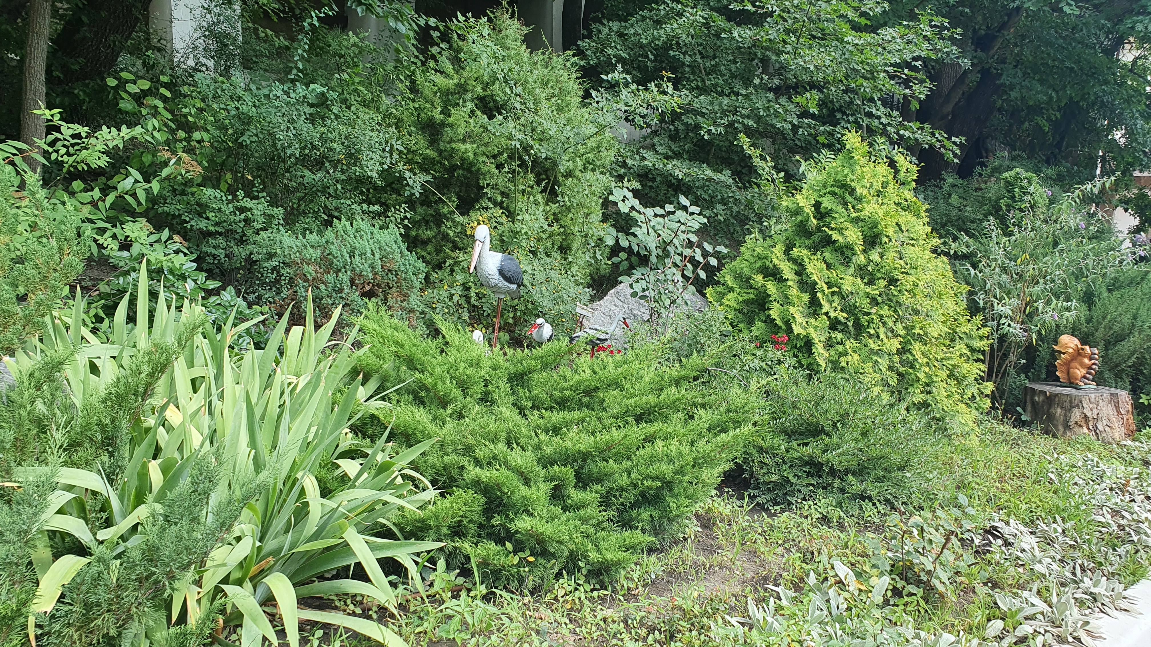 Фото Лесная сказка