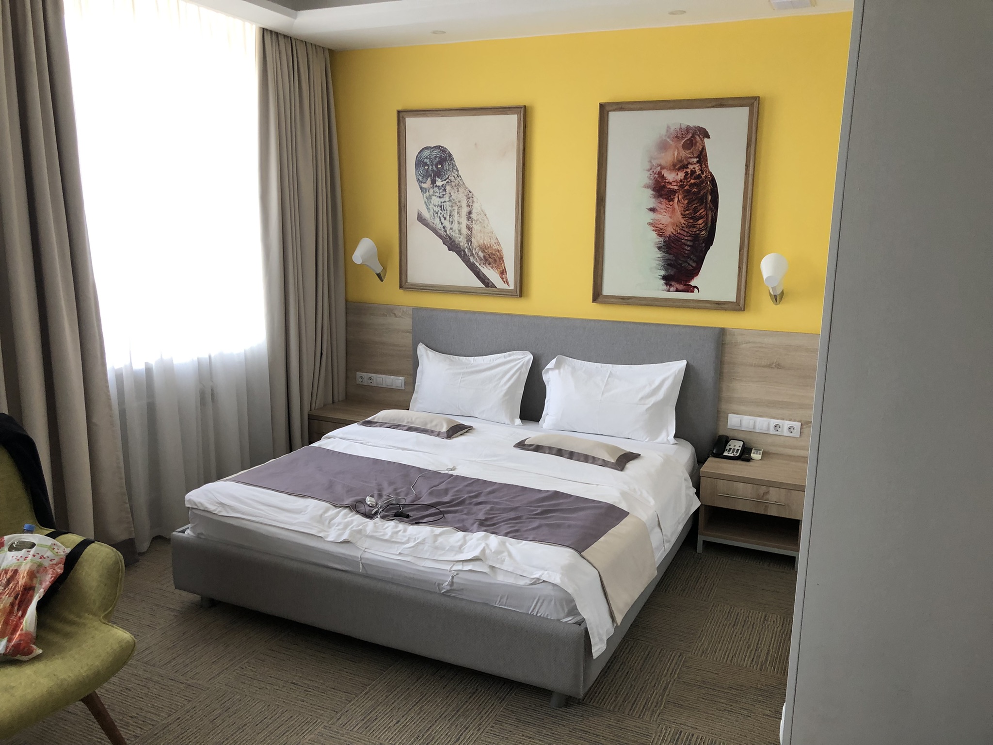 Фото Green Which