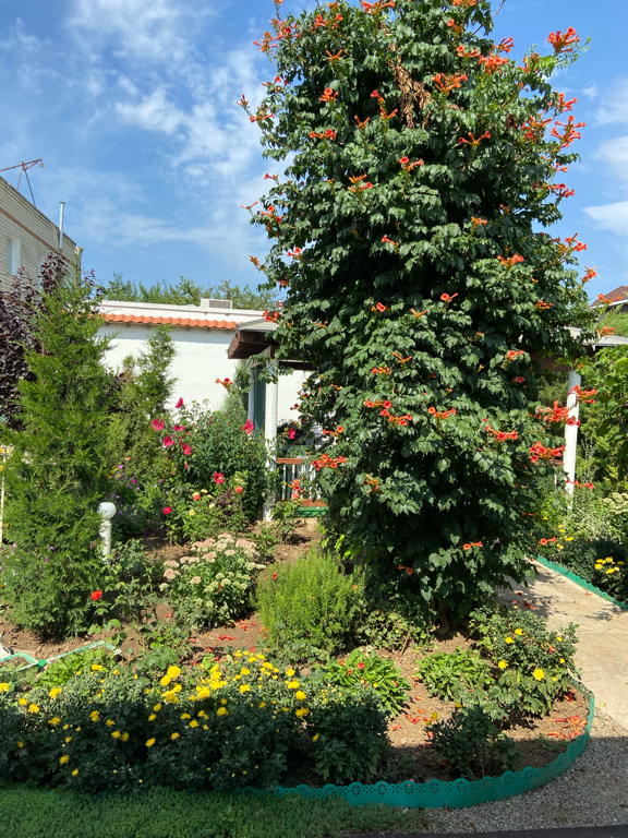 Фото Берег Казантипа