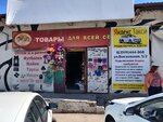 Яндекс Такси (Vokzalnaya ulitsa, 5/2), taxi