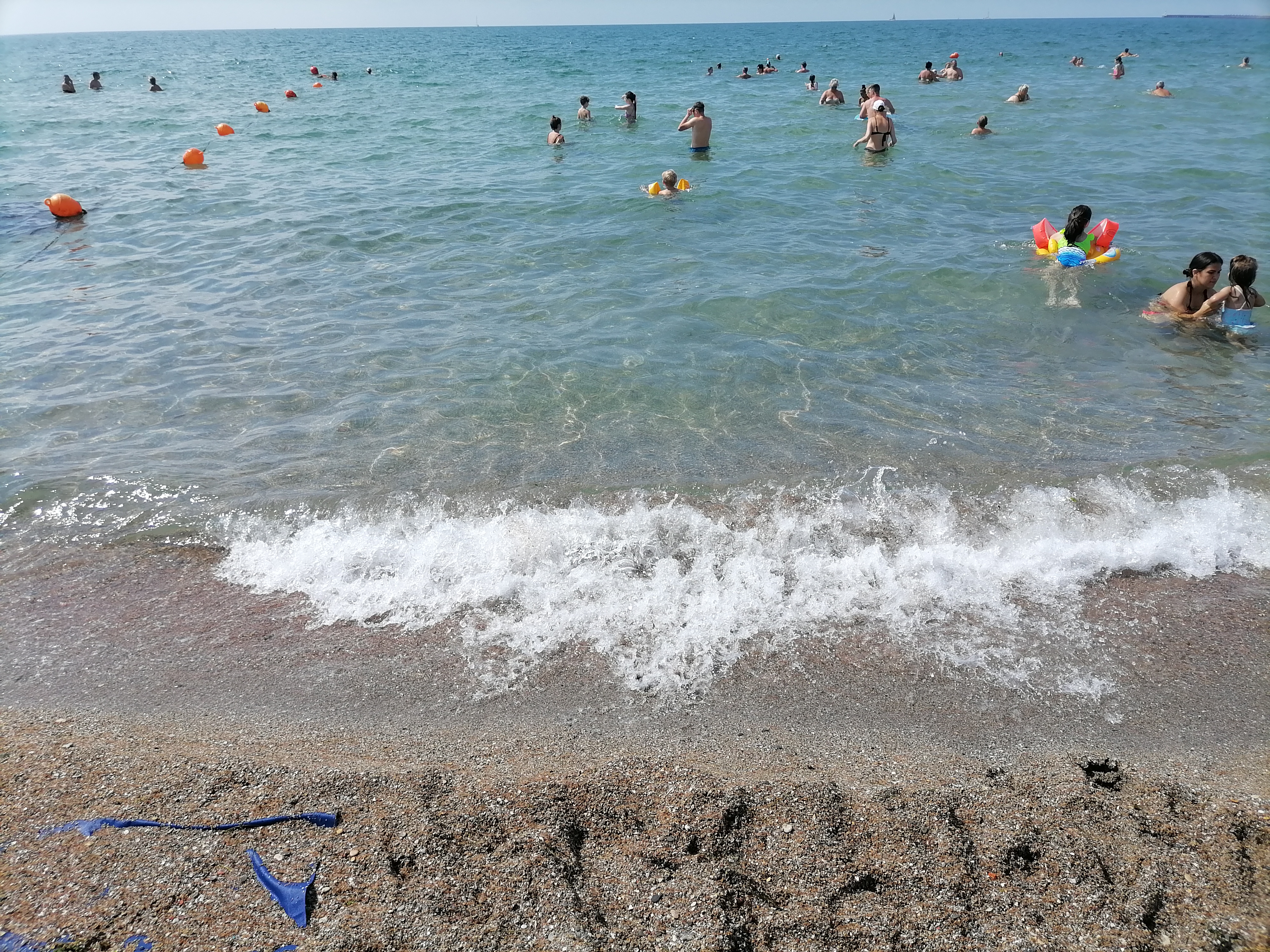 Фото Золотая рыбка