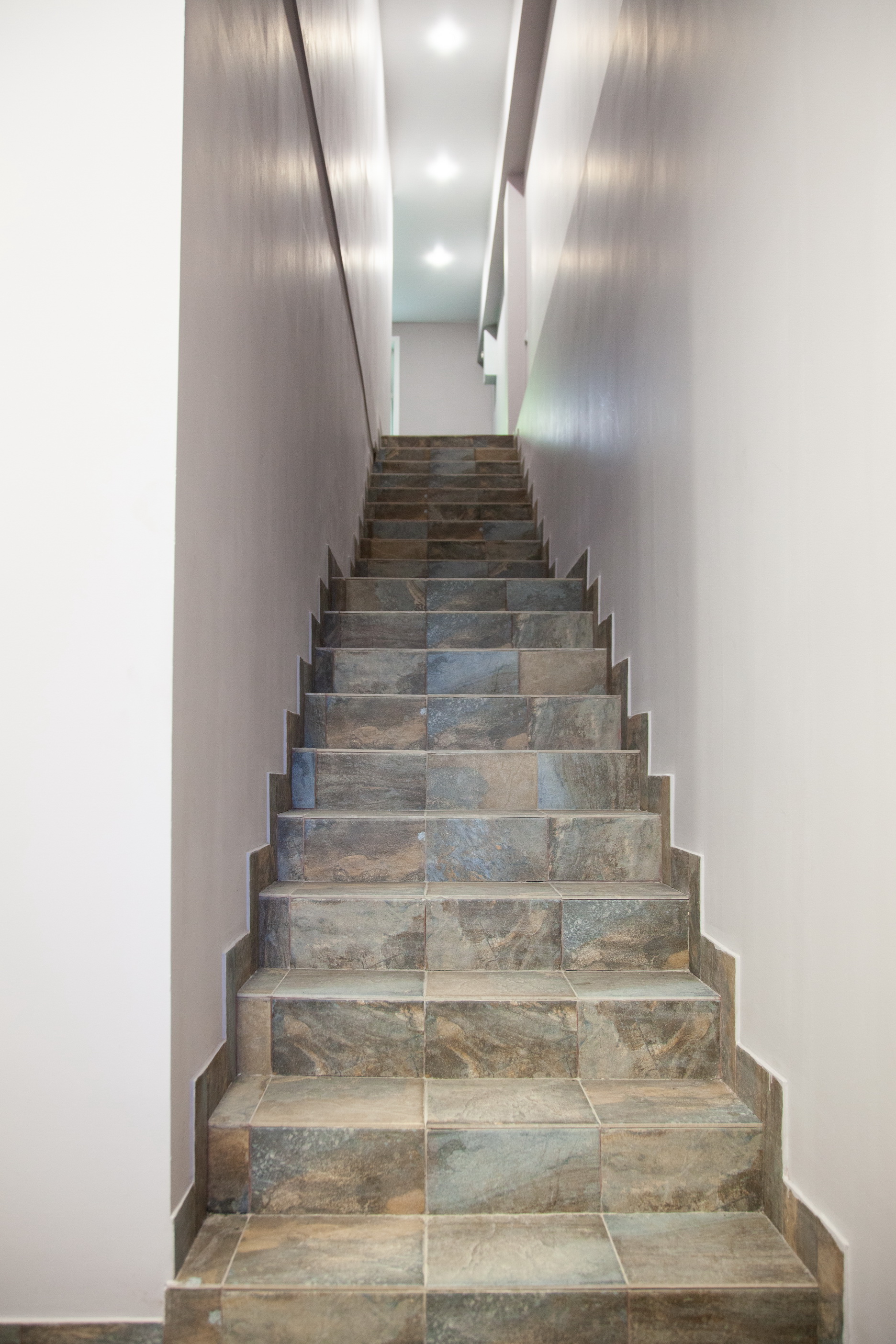 Фото Белый Снег