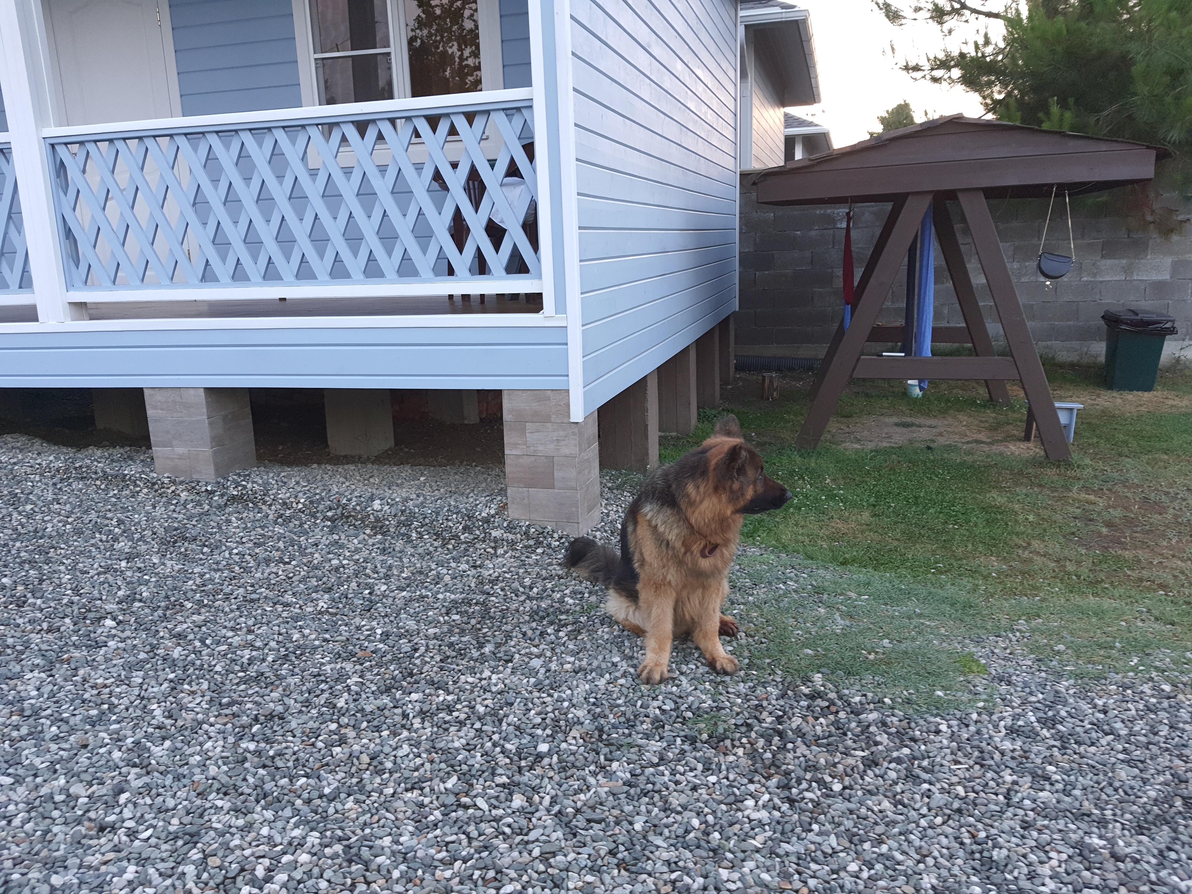 Фото Абазгия