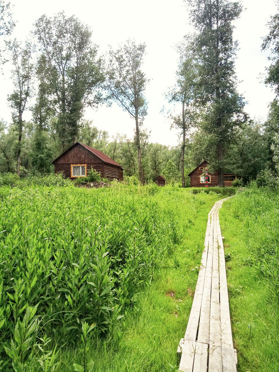 Фото Тихая застава