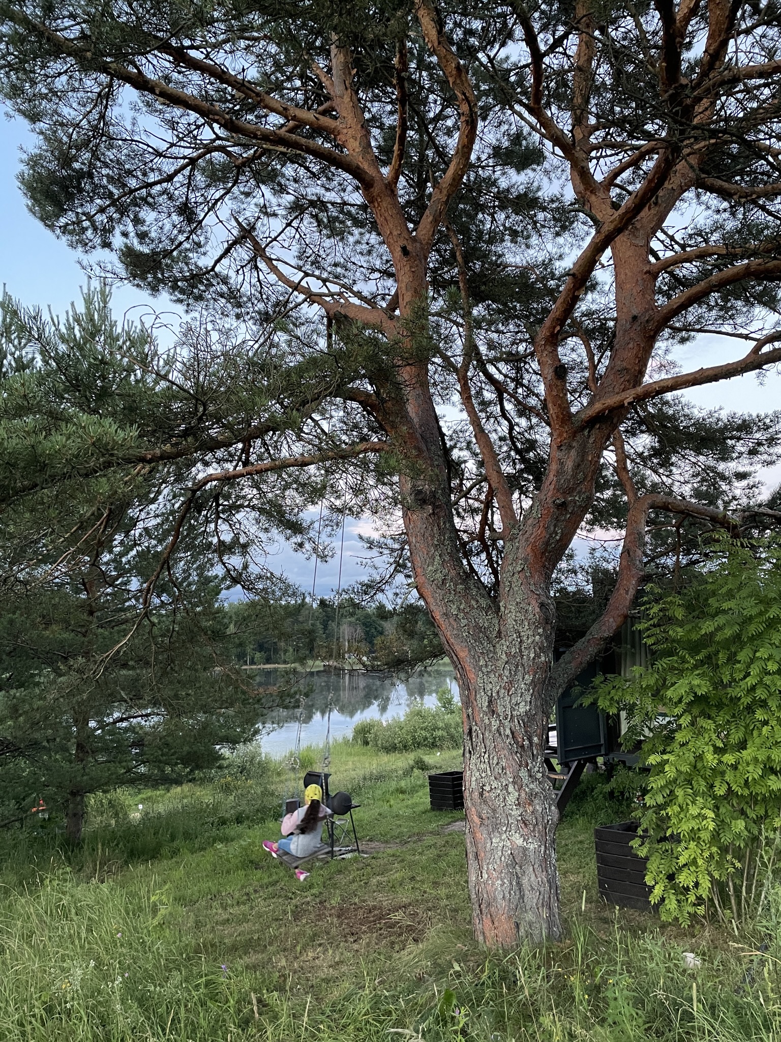 Фото ForrestHome