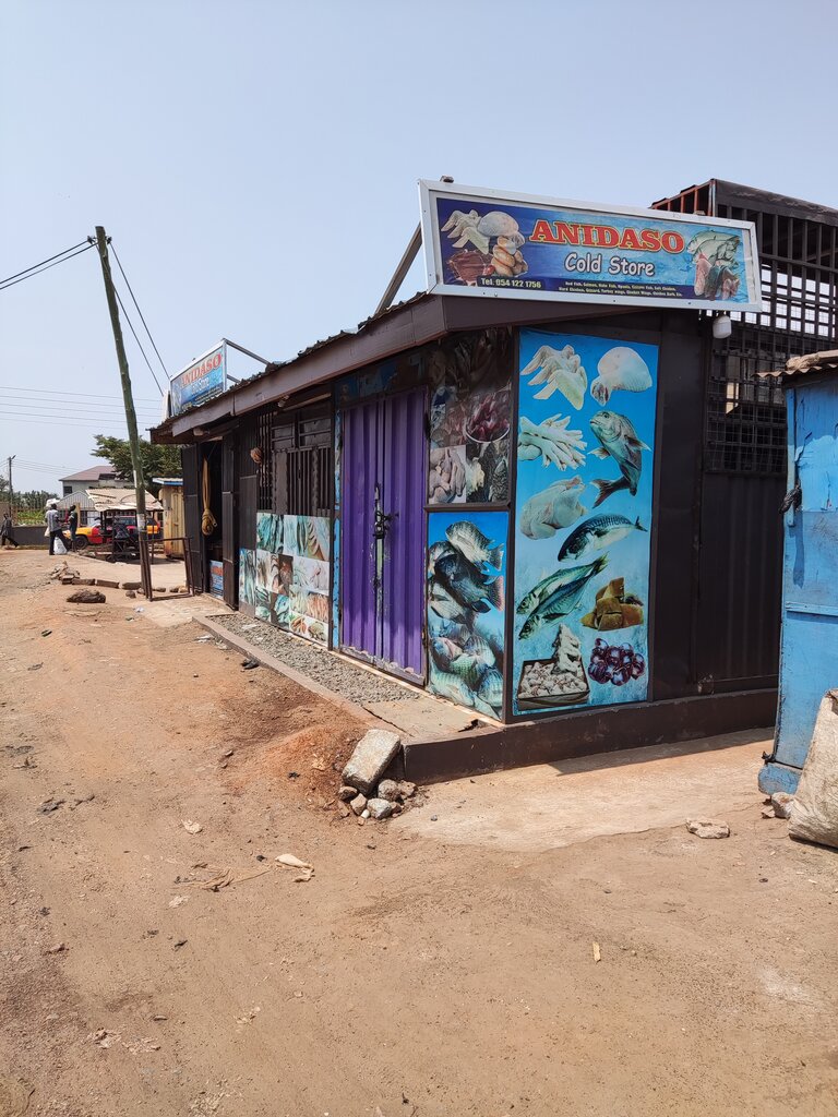 Fish and seafood Anidaso Cold Store, Earth, photo