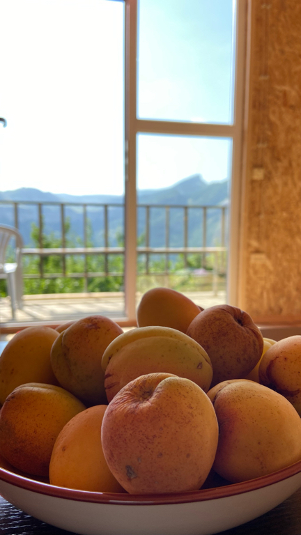 Фото У Хадо