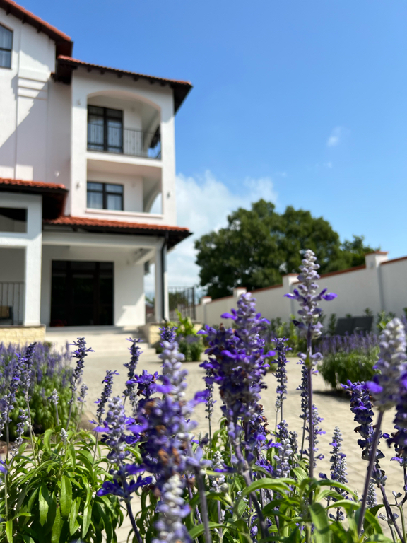 Фото Вилла Анна де Люкс