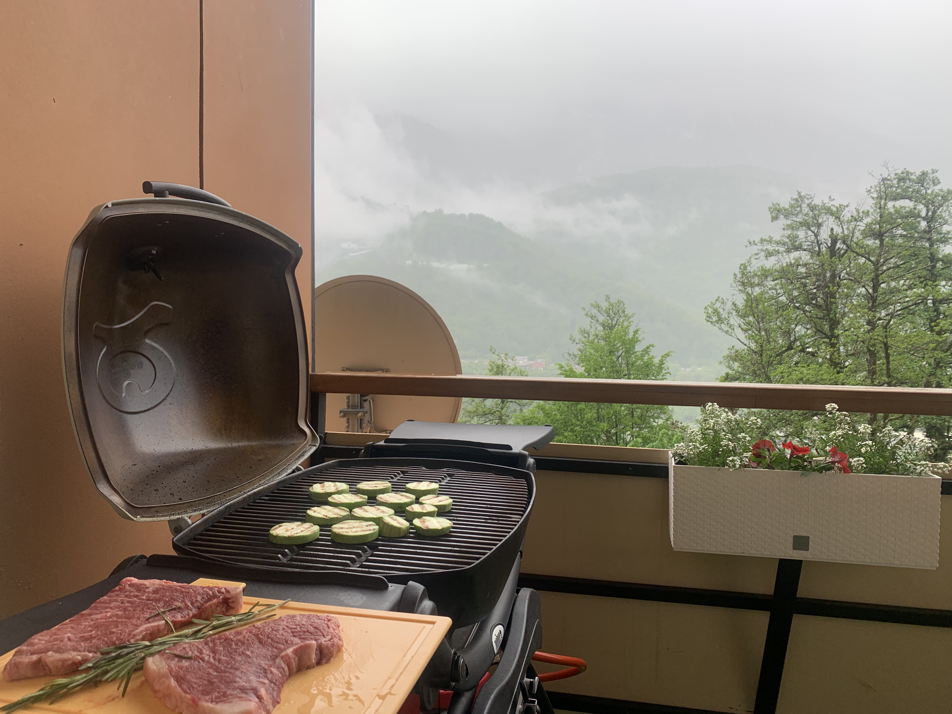 Фото Панорама парк