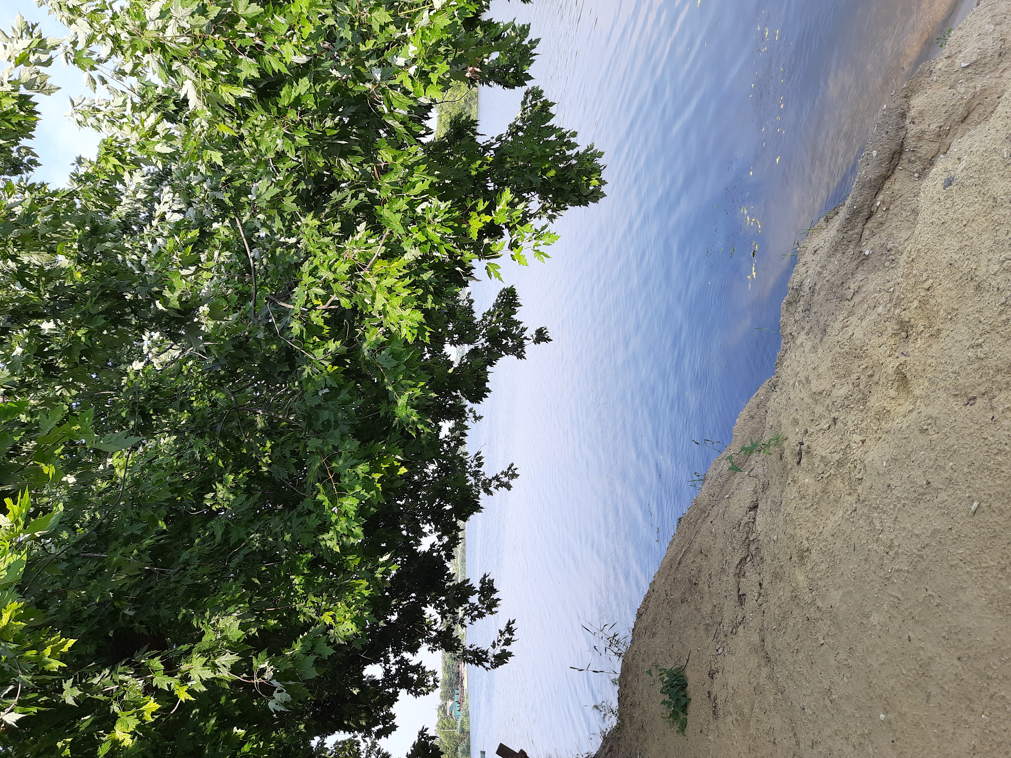 Фото Белуга