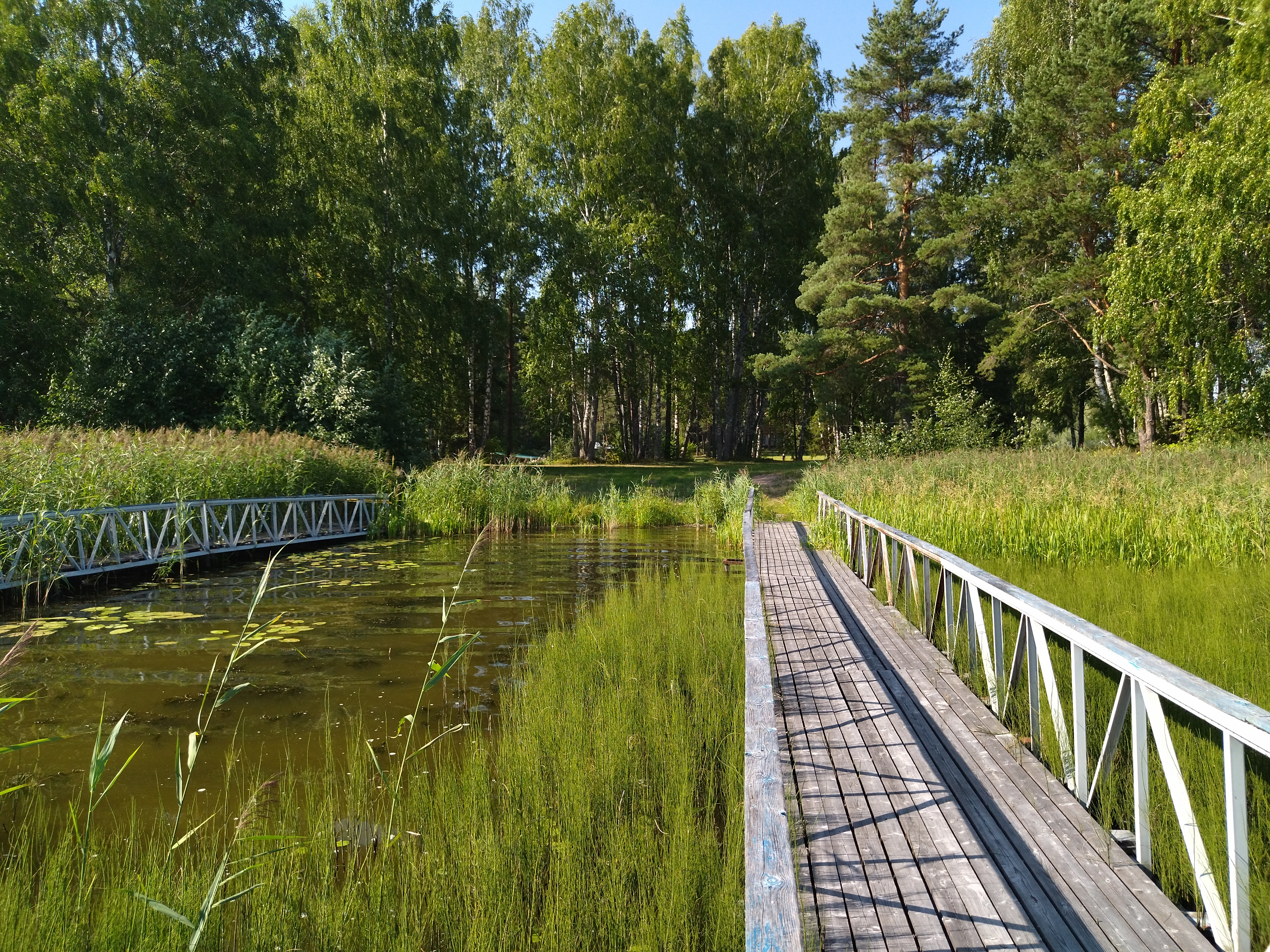 Фото Эко Парк