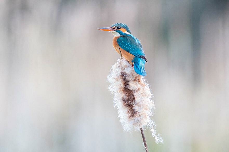 School Creative Short Courses at Nottingham Trent University, Nottingham, photo