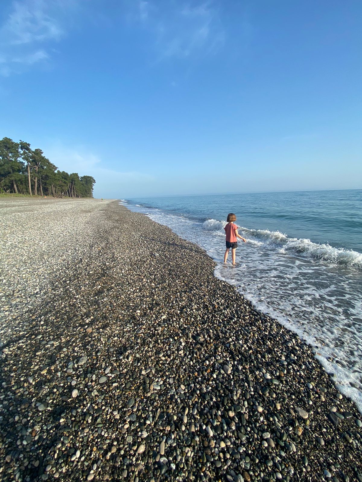 Фото Грандис